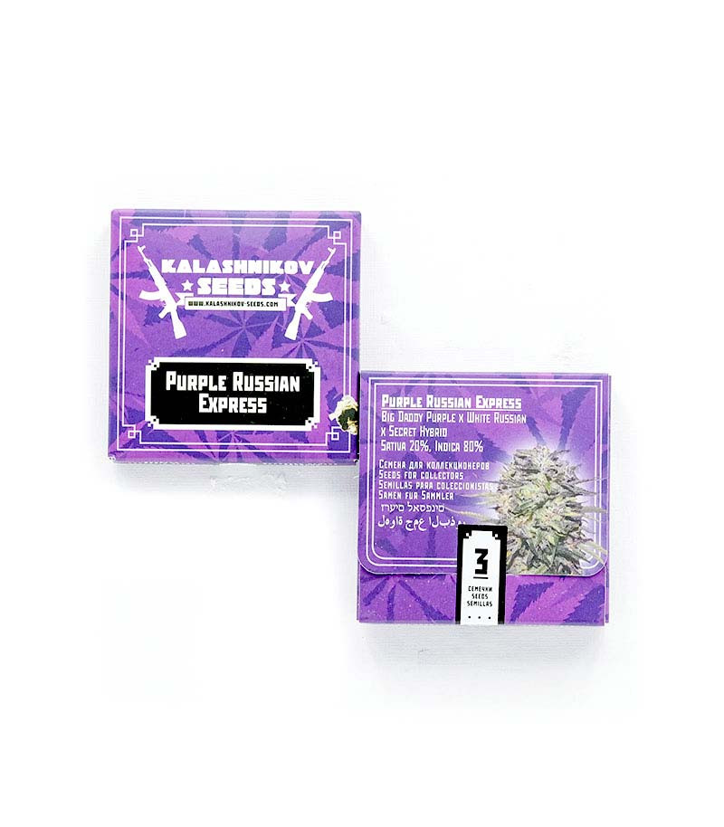 Purple Russian Express fem (Kalashnikov Seeds) семена конопли — изображение 2