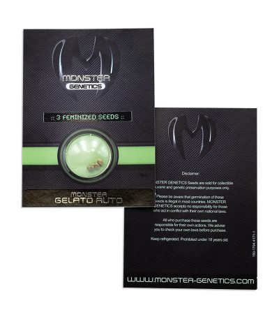 Семена сорта Monster Gelato Auto fem (Monster Genetics) — изображение 2