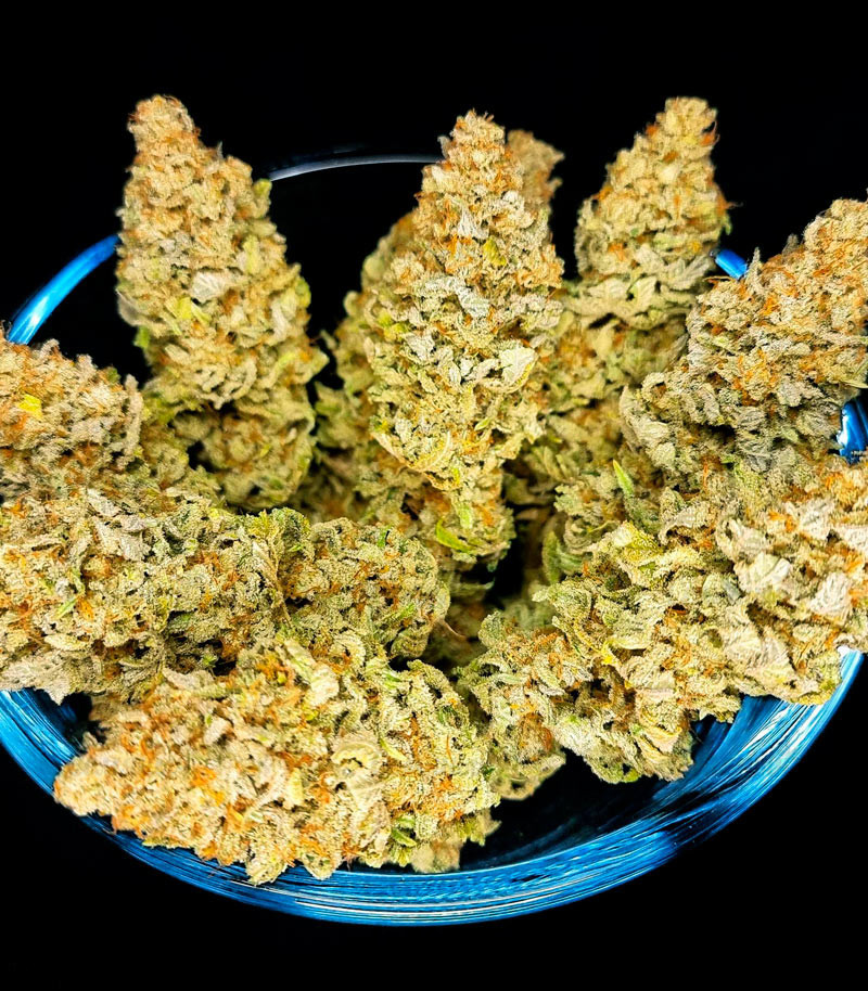 Семена сорта Monster Moby fem (Monster Genetics) — изображение 2