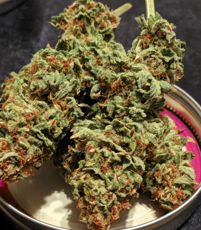 Blueberry OG fem (Barney's Farm) — изображение 3