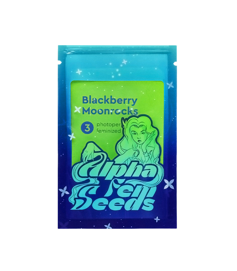 Семена сорта Blackberry Moonrocks fem (AlphaFem Seeds) — изображение 2