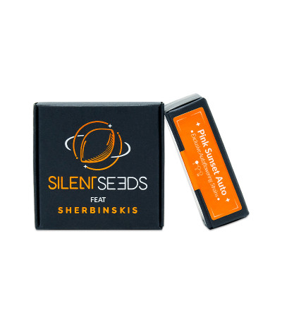 Pink Sunset Auto by Sherbinskis fem (Silent Seeds) семена конопли — изображение 2