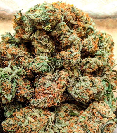 Apple Betty Auto fem (Herbies Seeds) семена конопли — изображение 3