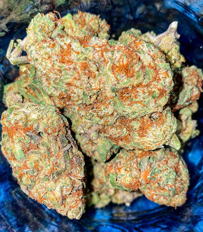 Purple Punch F1 fem (Seedkeepers) семена конопли — изображение 8